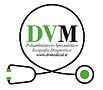 DV MEDICAL - ROMA 